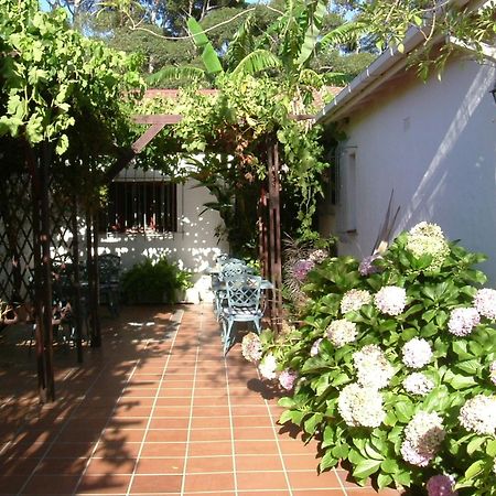 Vine Guesthouse Stellenbosch Eksteriør bilde