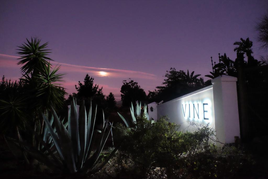 Vine Guesthouse Stellenbosch Eksteriør bilde