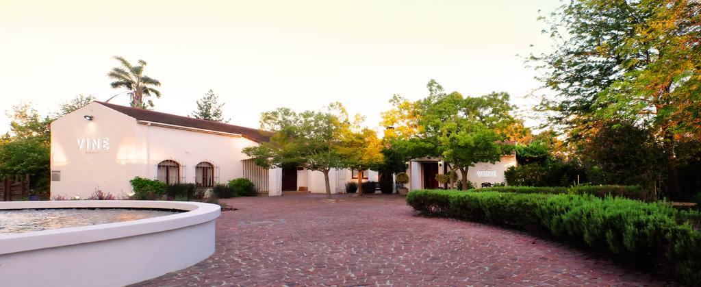 Vine Guesthouse Stellenbosch Eksteriør bilde