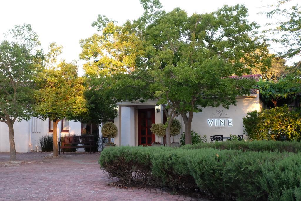 Vine Guesthouse Stellenbosch Eksteriør bilde