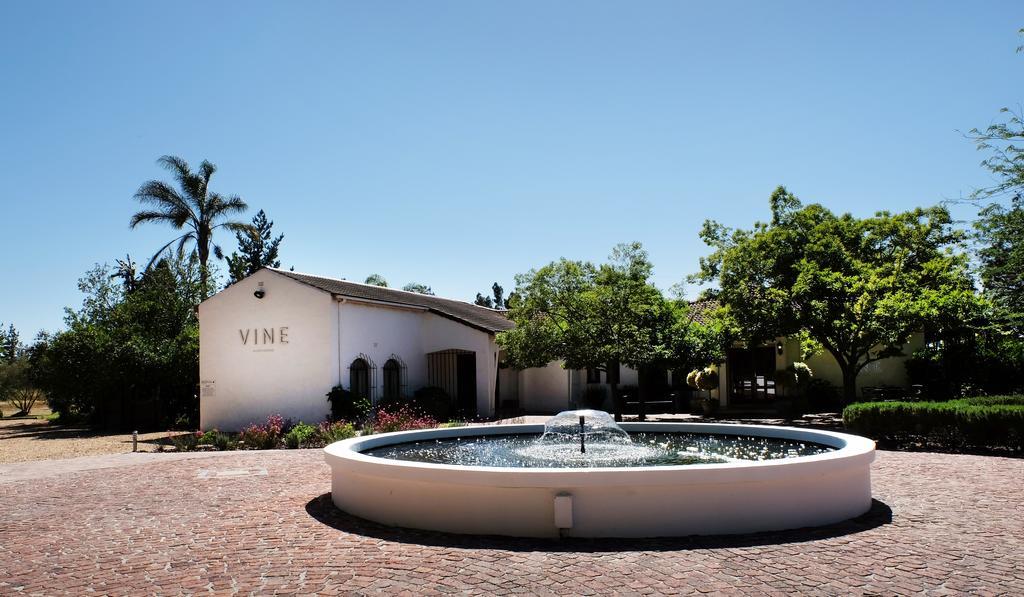 Vine Guesthouse Stellenbosch Eksteriør bilde
